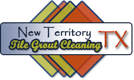 Tile Grout Cleaning New Territory